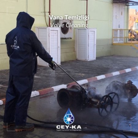 Vana Temizliği